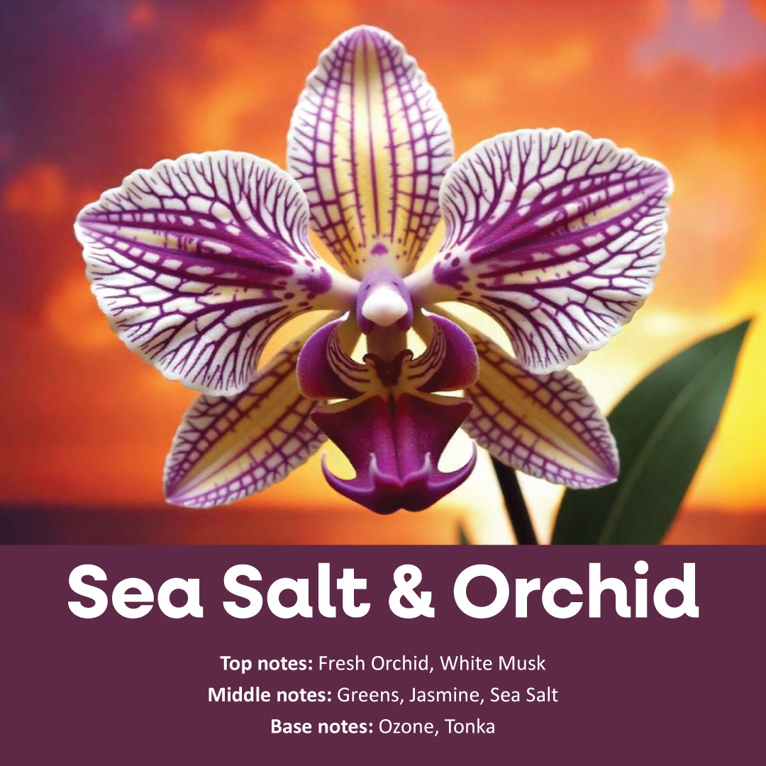 Image of purple, white, and yellow orchid against a vivid sunset over the sea. Title is Sea Salt & Orchid.