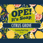 Slices of grapefruit and lemons against navy background, citrus grove label graphic